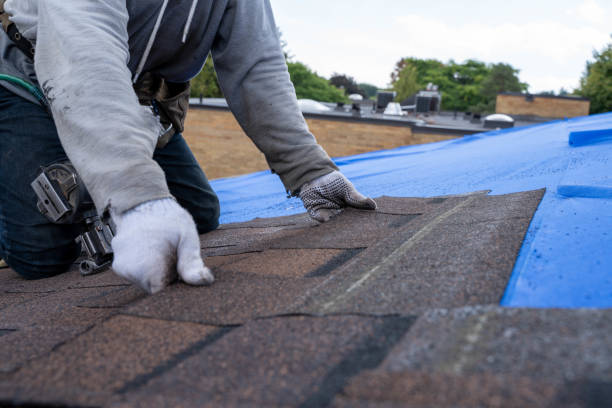 Best Local Roofing Companies  in Poth, TX