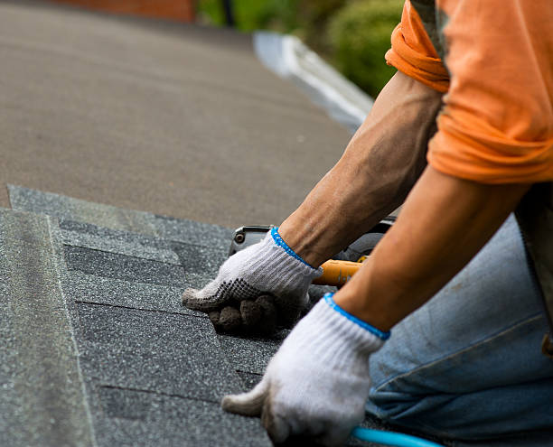 Best Shingle Roofing Installation  in Poth, TX