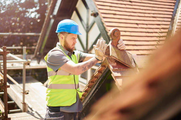 Best Metal Roofing Contractor  in Poth, TX